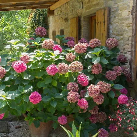 Casa La Valle, Gubbio, Frazione Santa Cristina-2